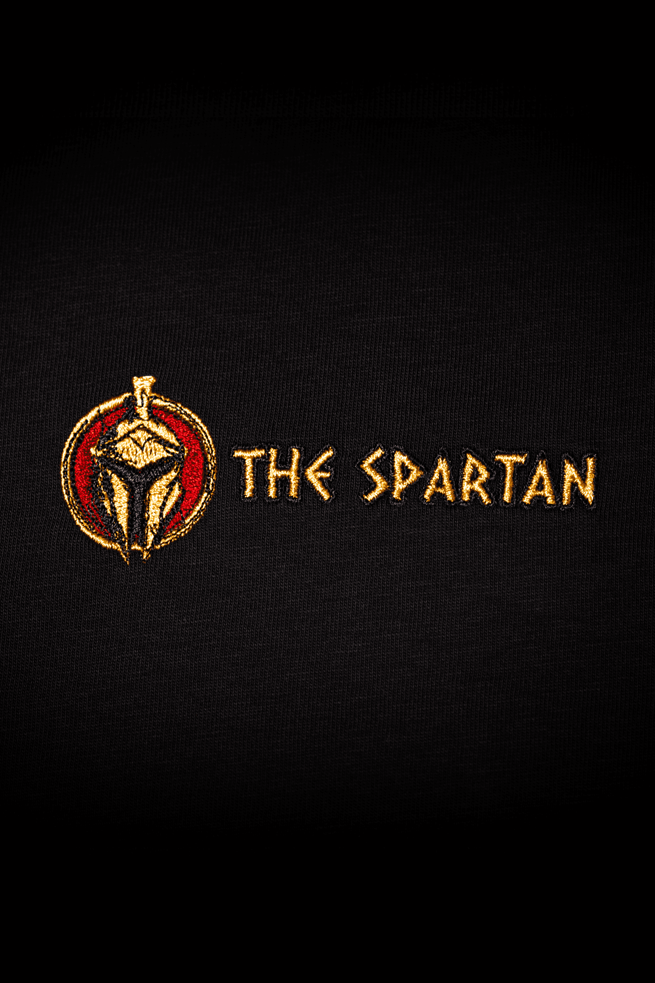 The Spartan Oversize Tshirt