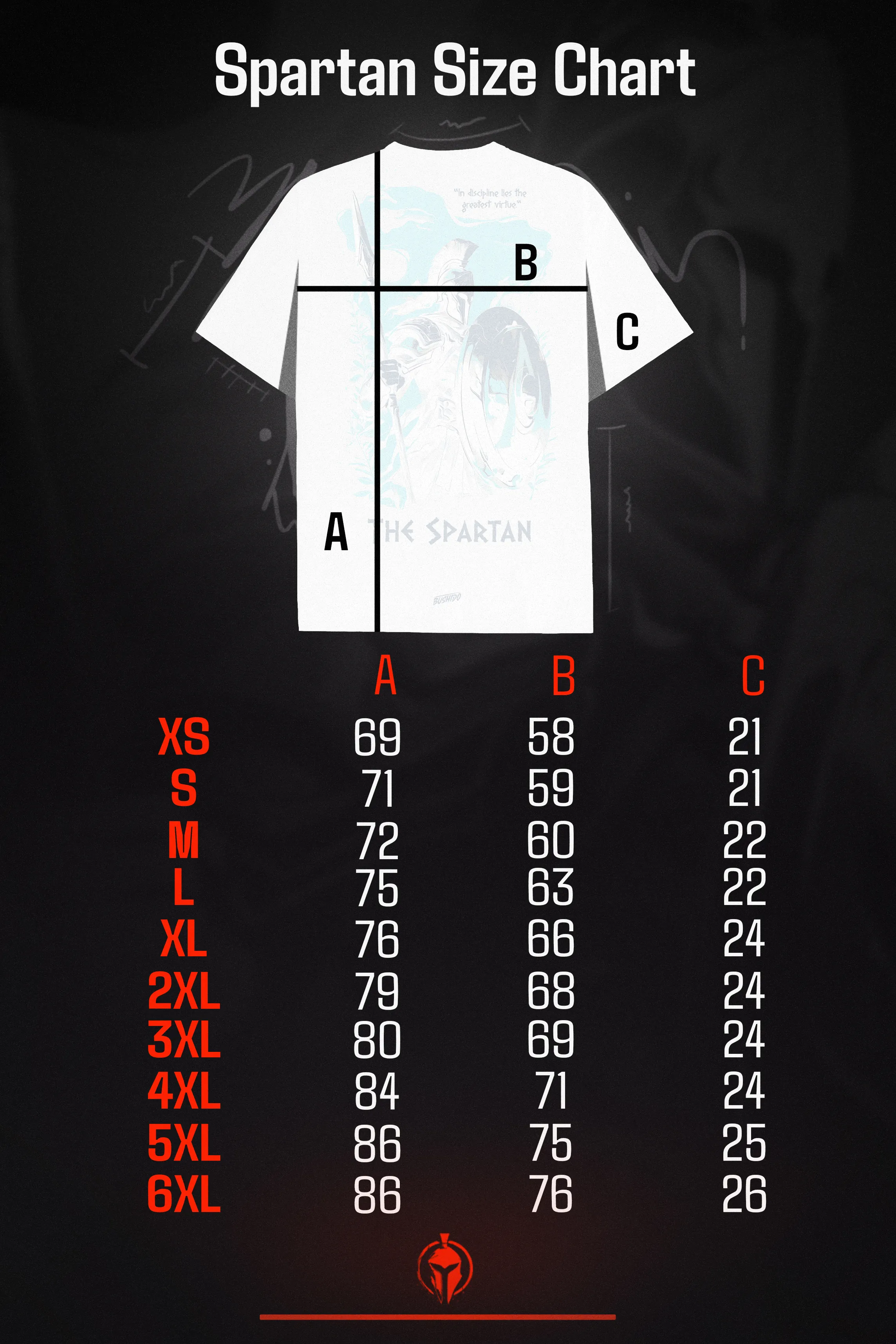 The Spartan Oversize Tshirt