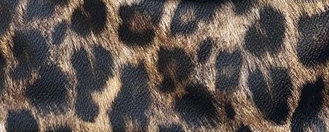 leopar