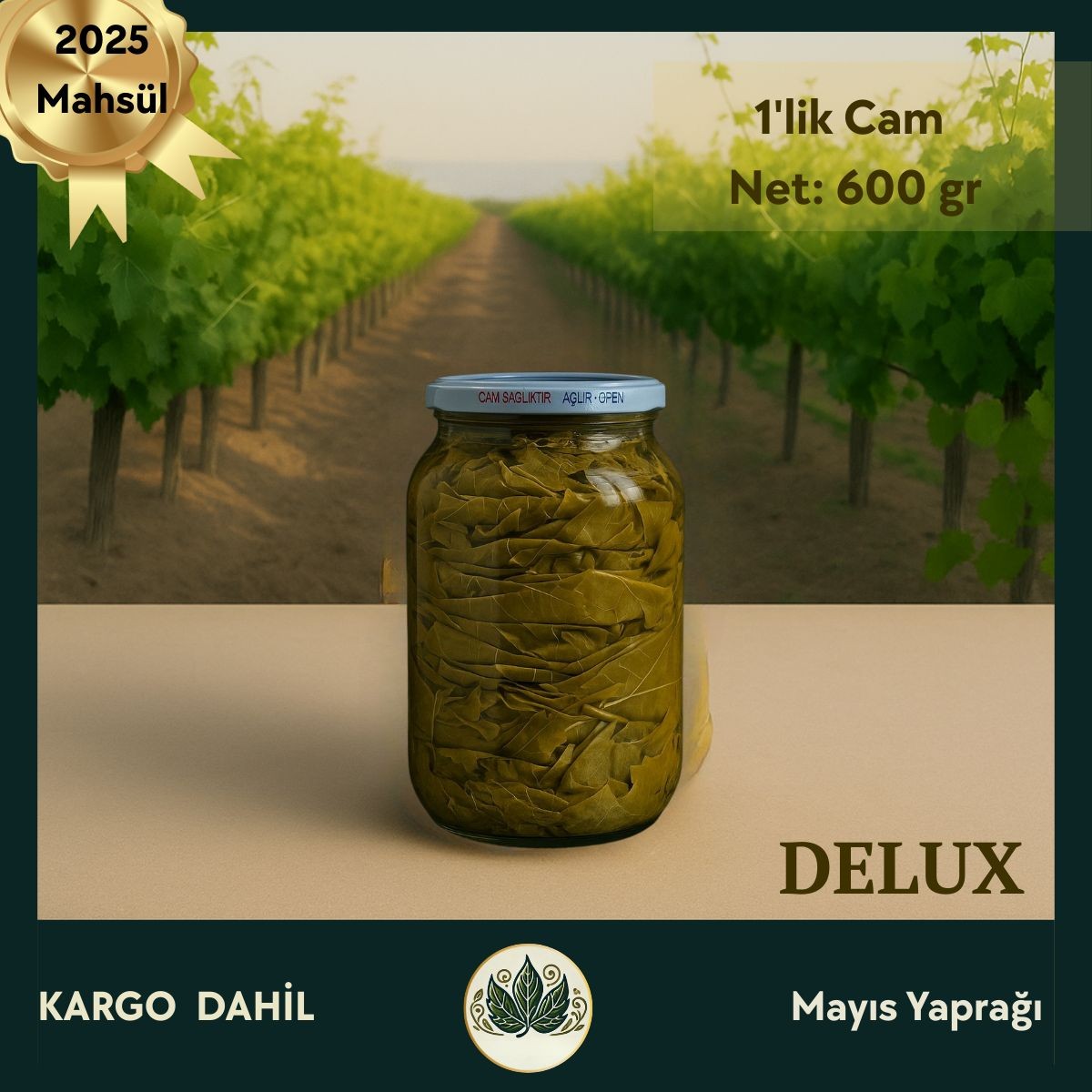 Delux 1'lik Cam