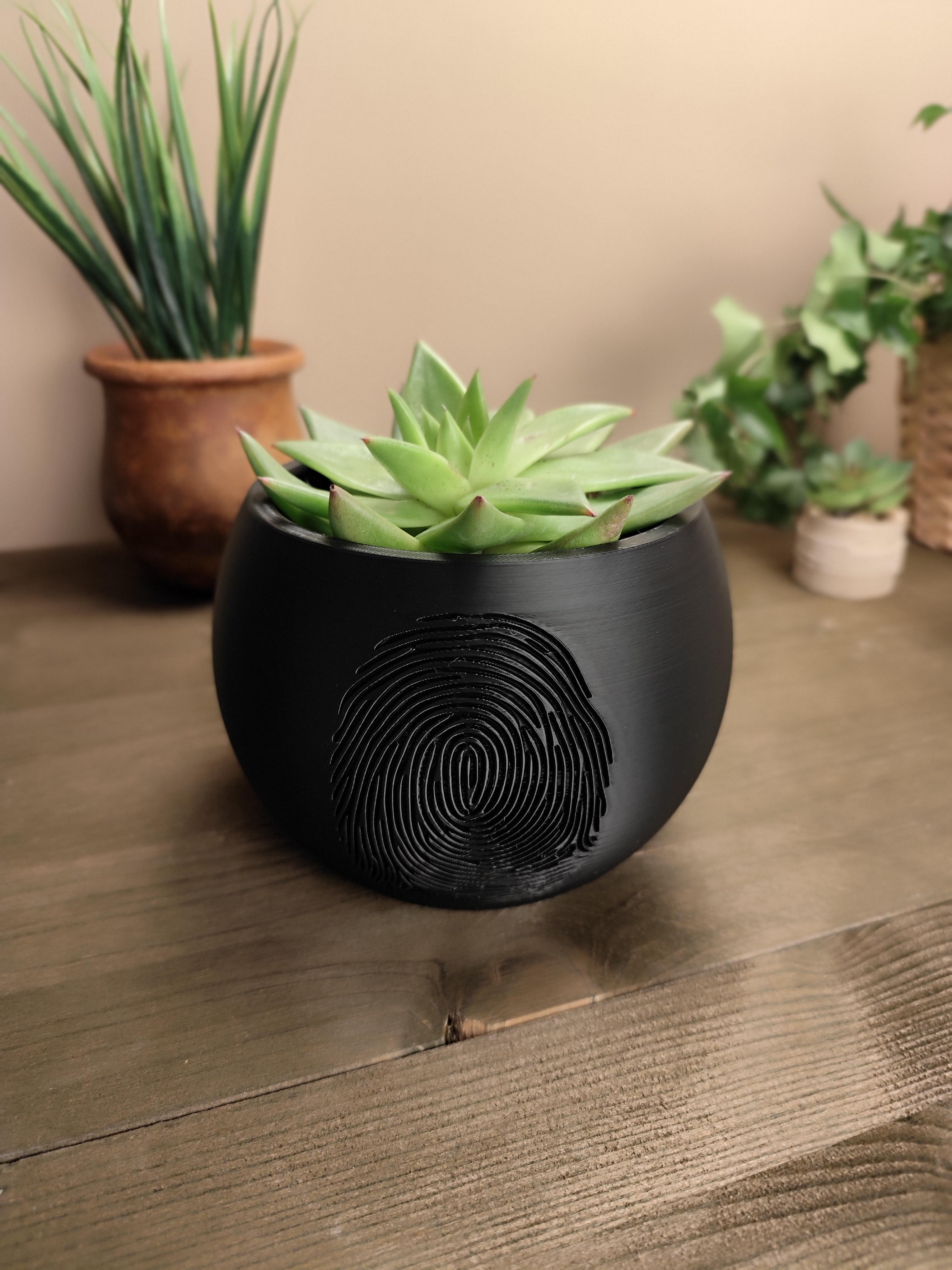 Modern design plant pot "crime scene"