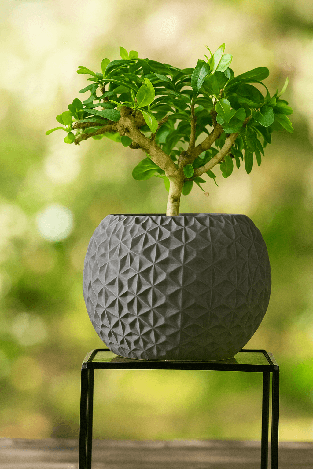 🌿 Geometrik Desenli Bonsai Saksısı