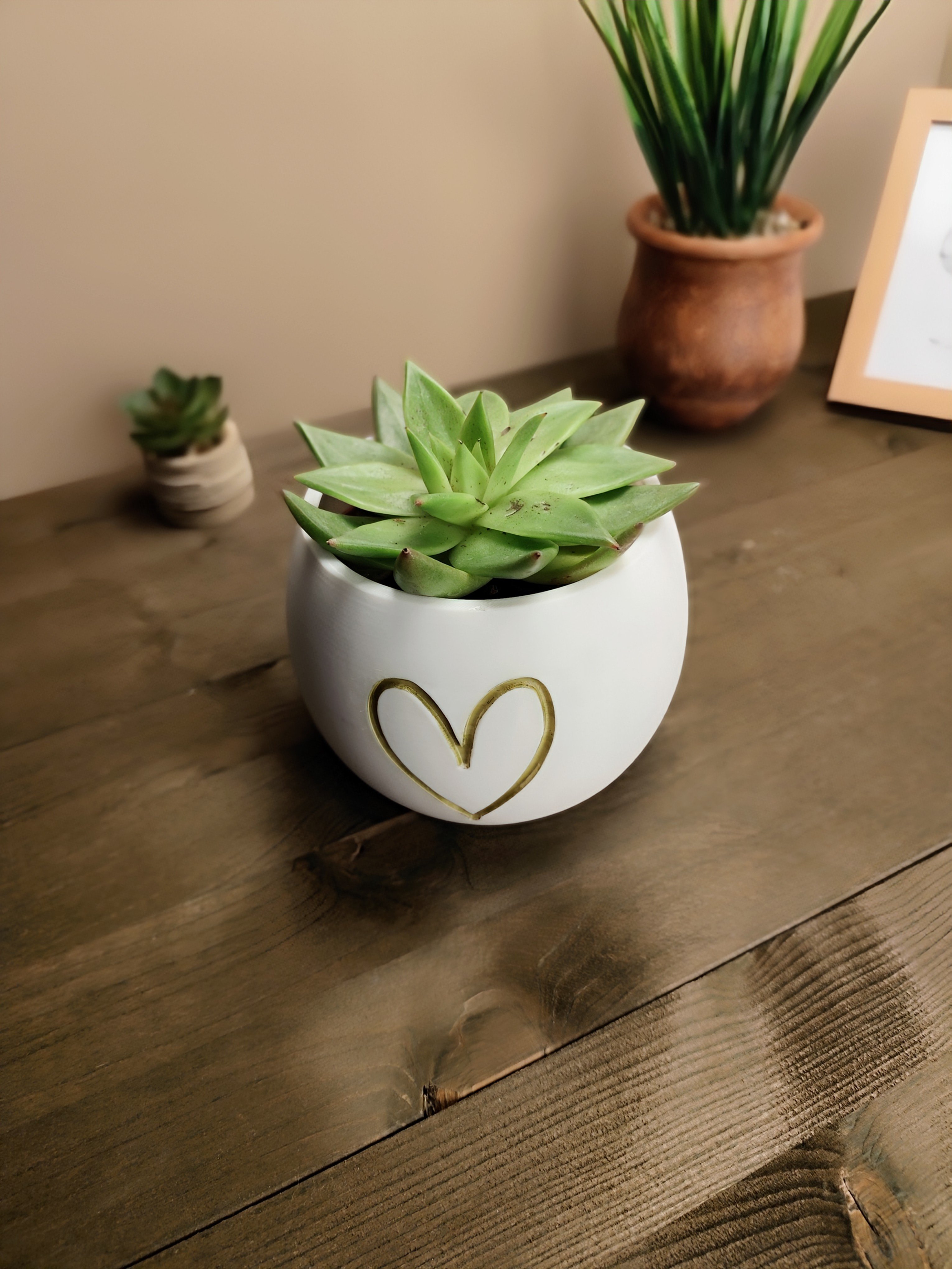 Small sweet heart plant pot