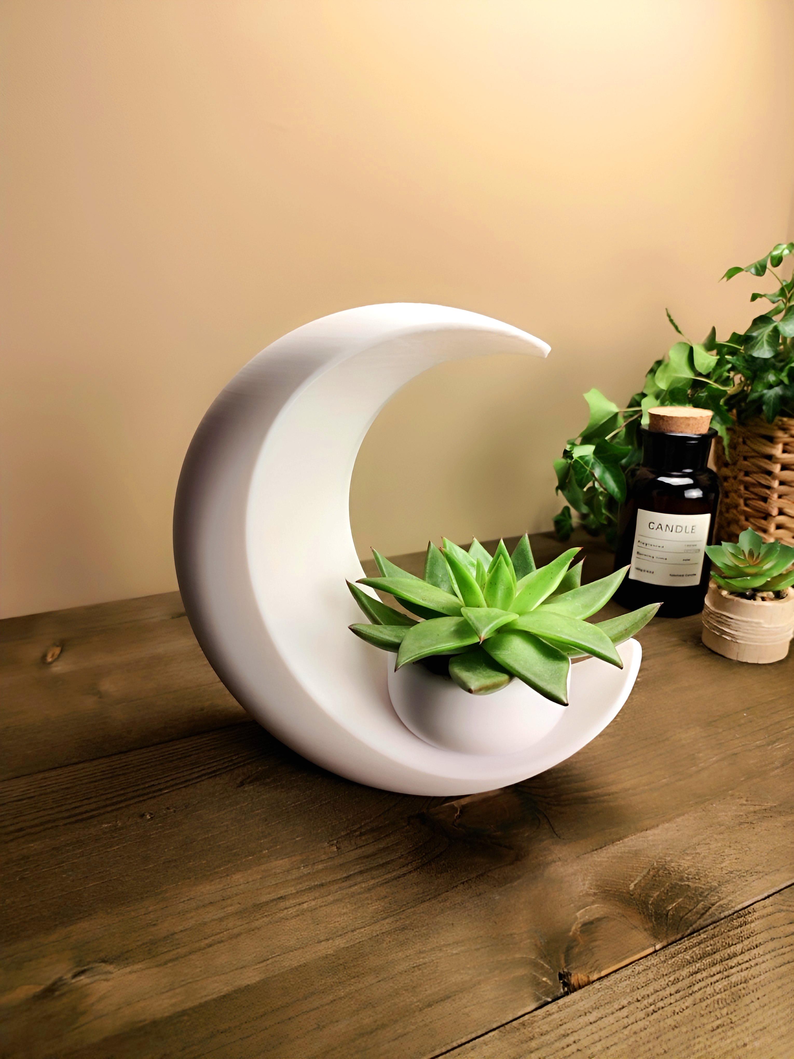 Into the Moon Succulent Planter, Vase