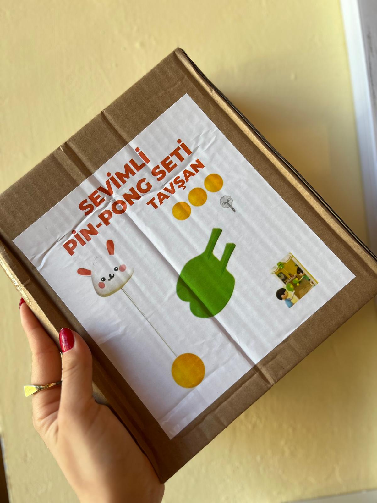 Tavşanlı askı pinpon seti