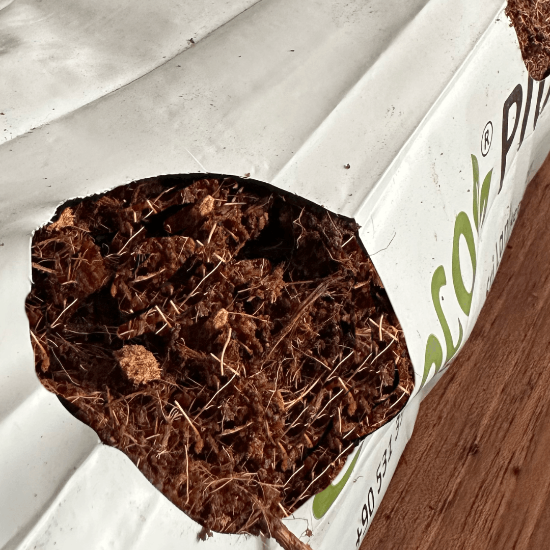 Cocopeat Çilek Growbag 13 Litre | Hindistan Cevizi Torf Torbası (Suyla Şişen)