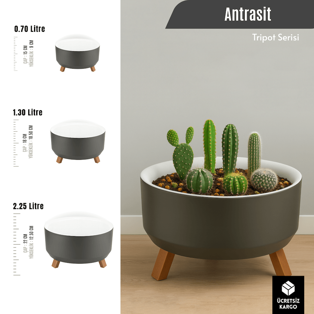 Tripot Masa Üstü Dekoratif Saksı | Ayaklı İç Mekan Sukulent ve Kaktüs Saksısı (0.70L / 1.30L / 2.25L)