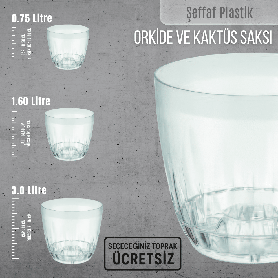 Şeffaf Plastik Orkide ve Kaktüs Saksısı (3 Boy Seçenekli) | İthal Toprak Dahil