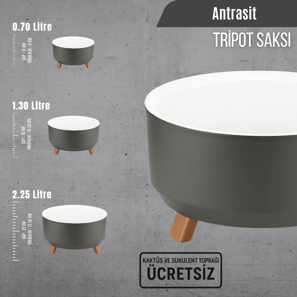 Tripot Masa Üstü Dekoratif Saksı | Ücretsiz Kaktüs ve Sukulent Toprağı Dahil (0.70L/1.30L/2.25L)