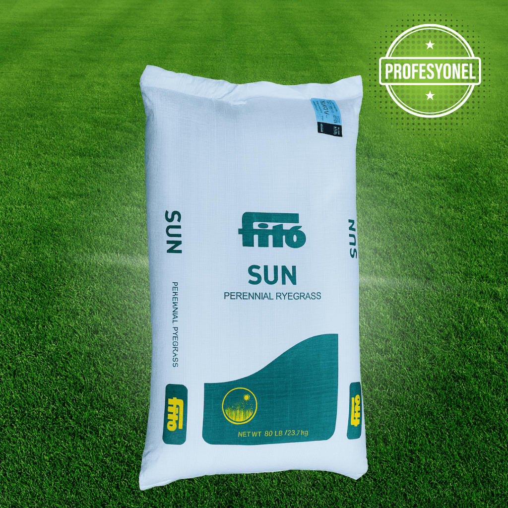 Fito Sun Lolium perenne (Perennial Ryegrass) – Çok Yıllık Hızlı Çimlenen Profesyonel Çim Tohumu (22.7 Kg)