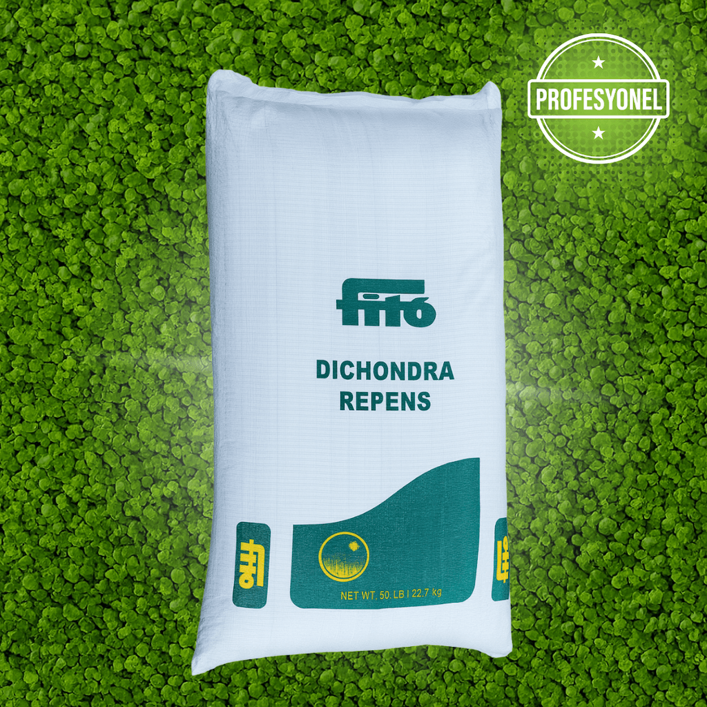 Fito Dichondra Repens – Fare Kulağı Gölge Alan Yer Örtücü Çim Tohumu (25 Kg)