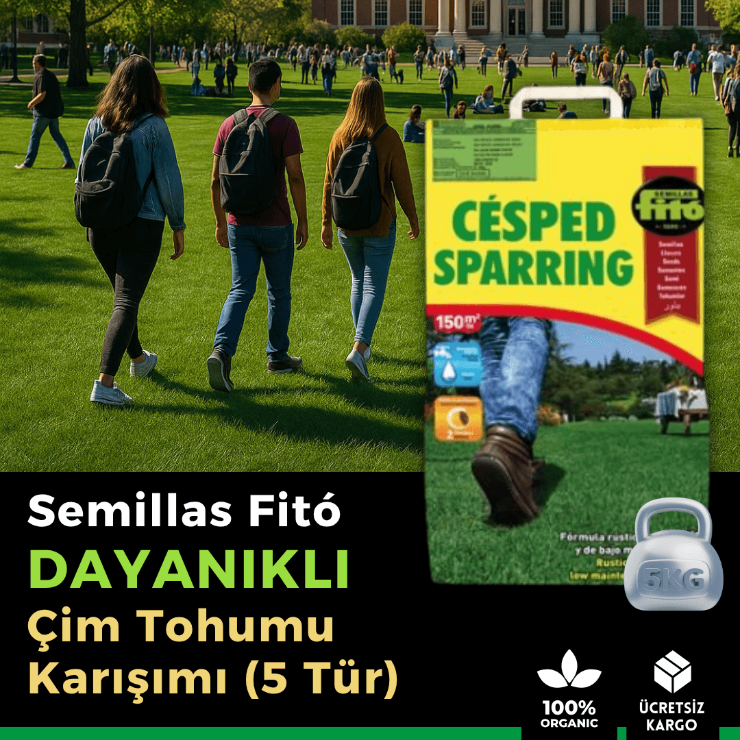 Semillas Fitó Dayanıklı ve Düşük Bakımlı İthal Çim Tohumu (5 Tür) – 150 m²
