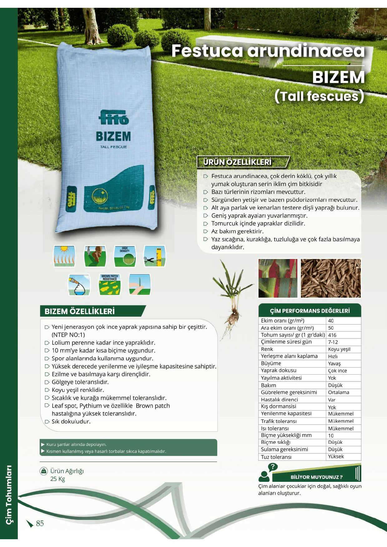 Fito Bizem Tall Fescue (Festuca arundinacea) – Profesyonel Dayanıklı Çim Tohumu (22,7 Kg)