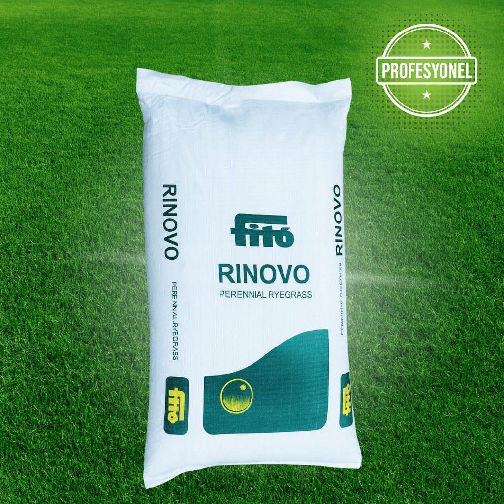 Fito Rinovo Lolium perenne (Perennial Ryegrass) – Hızlı Çimlenen Profesyonel Çim Tohumu (22.7 Kg)