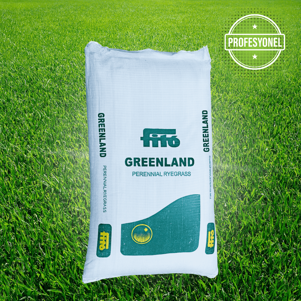 Fito Greenland Lolium Perenne (İngiliz Çimi) – Profesyonel Ara Çim Tohumu (25 Kg)