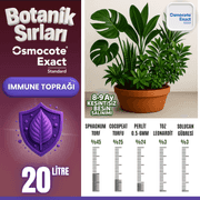 Botanik