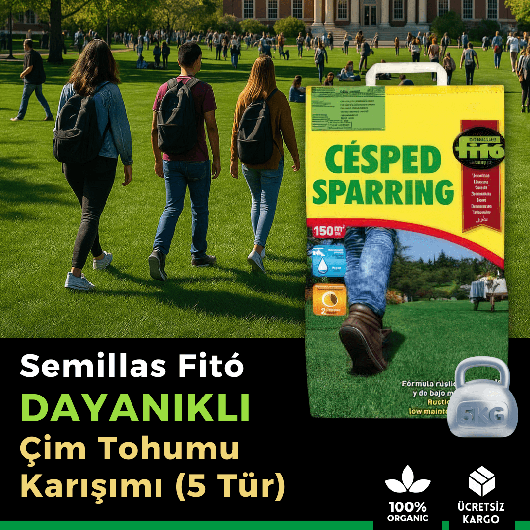 Semillas Fitó Dayanıklı ve Düşük Bakımlı İthal Çim Tohumu (5 Tür) – 150 m²