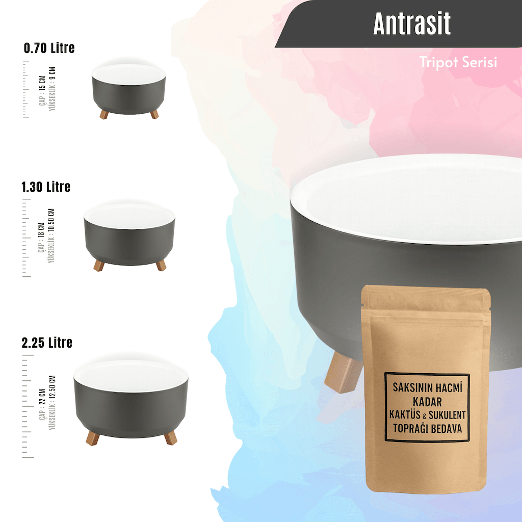 Tripot Masa Üstü Dekoratif Saksı | Ücretsiz Kaktüs ve Sukulent Toprağı Dahil (0.70L / 1.30L / 2.25L)