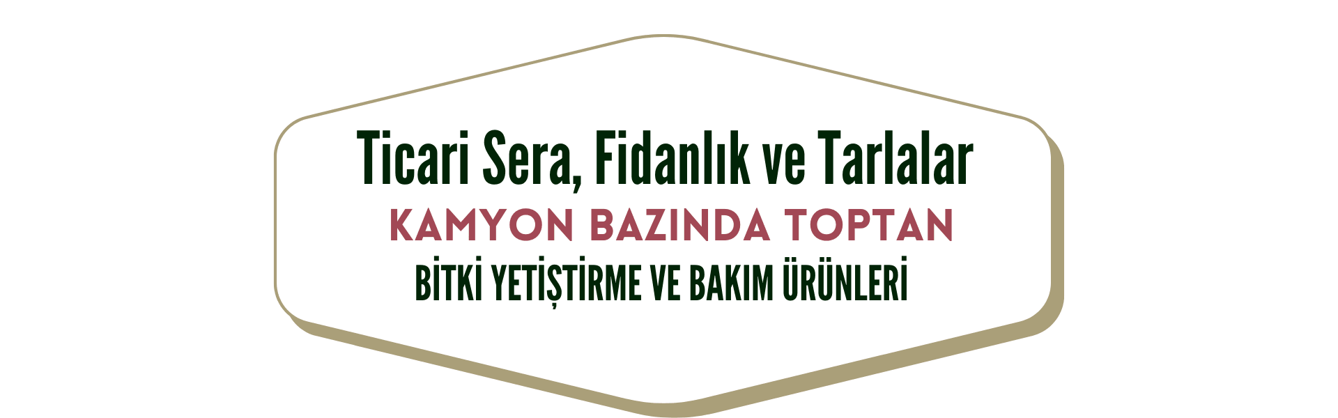 Ticari Sera, Fidanlık ve Tarlalar
