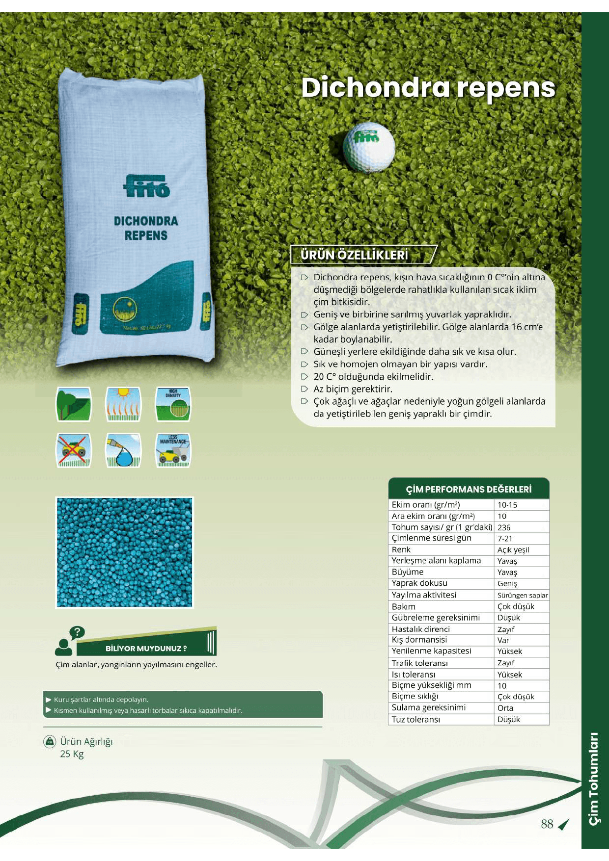 Fito Dichondra Repens – Fare Kulağı Gölge Alan Yer Örtücü Çim Tohumu (25 Kg)