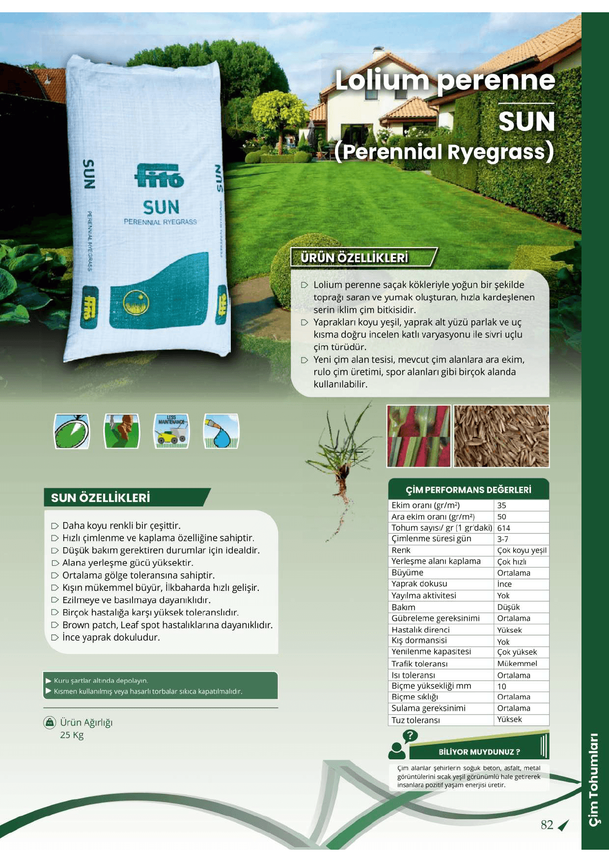 Fito Sun Lolium perenne (Perennial Ryegrass) – Çok Yıllık Hızlı Çimlenen Profesyonel Çim Tohumu (22.7 Kg)