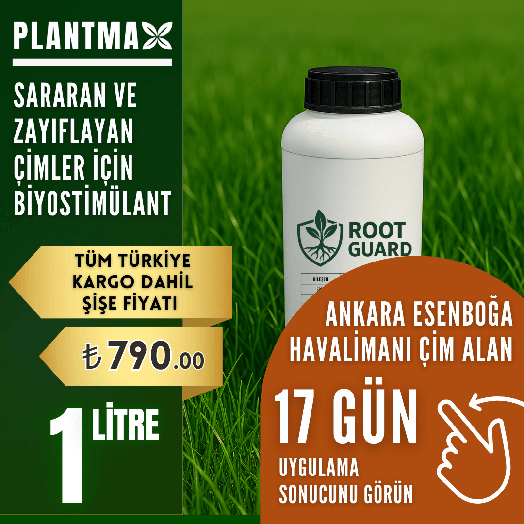 PLANTMAX® Root Guard Biyostimülant – Sararan ve Zayıflayan Çimler İçin (1 Litre)