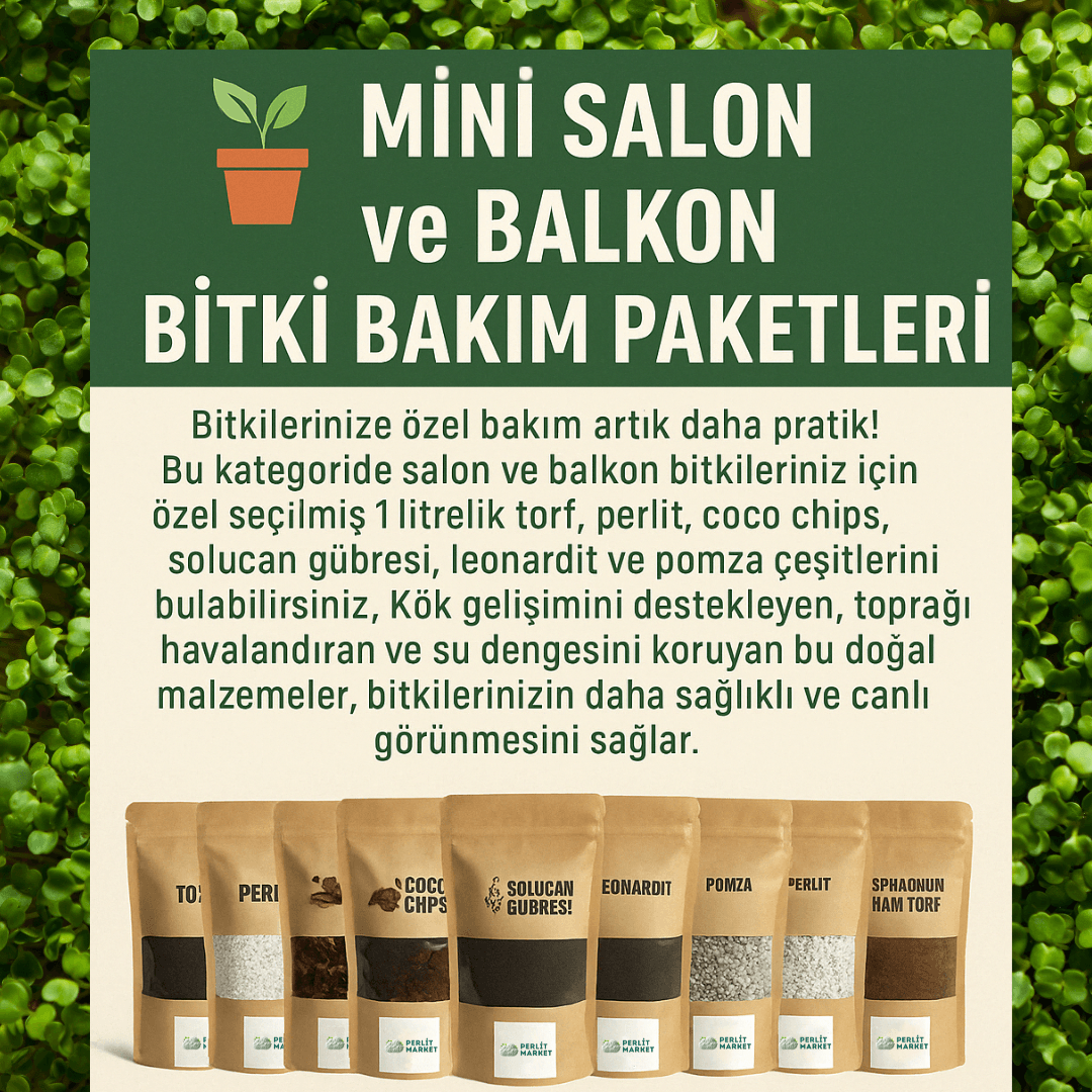Mini Salon ve Balkon Bitki Bakım Paketleri