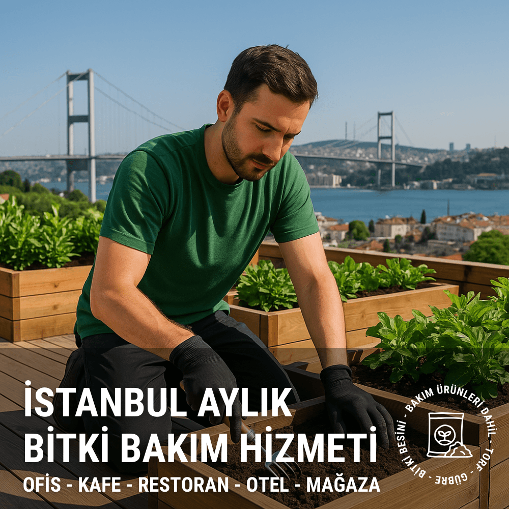 İstanbul Aylık Bitki Bakım Hizmeti | Ofis, Kafe, Restoran, Otel, Mağaza (Bakım Ürünleri Dahil)