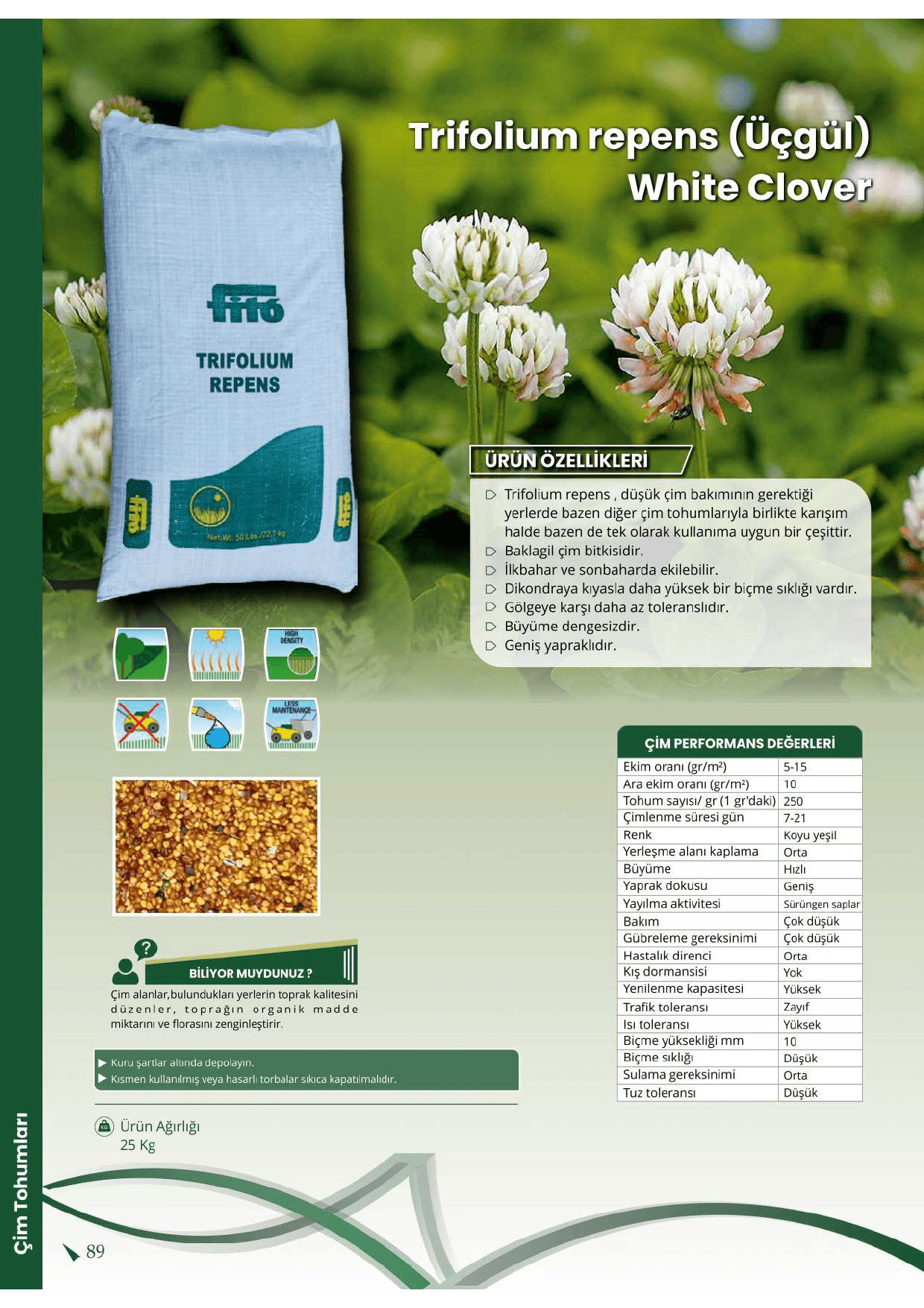 Fito Trifolium repens (White Clover) – Profesyonel Beyaz Üçgül Çim ve Yer Örtücü Tohum (25 Kg)