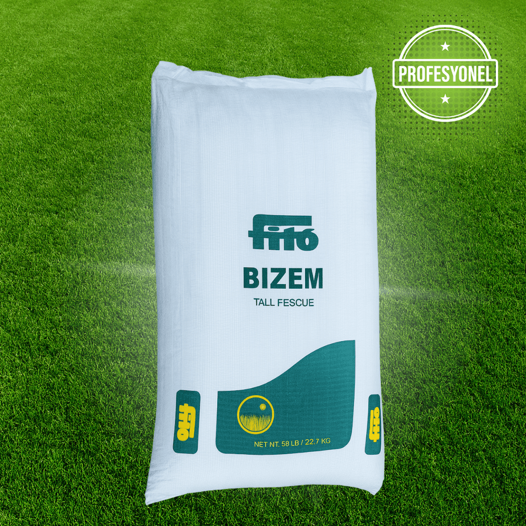 Fito Bizem Tall Fescue (Festuca arundinacea) – Profesyonel Dayanıklı Çim Tohumu (22,7 Kg)
