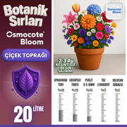 Botanik