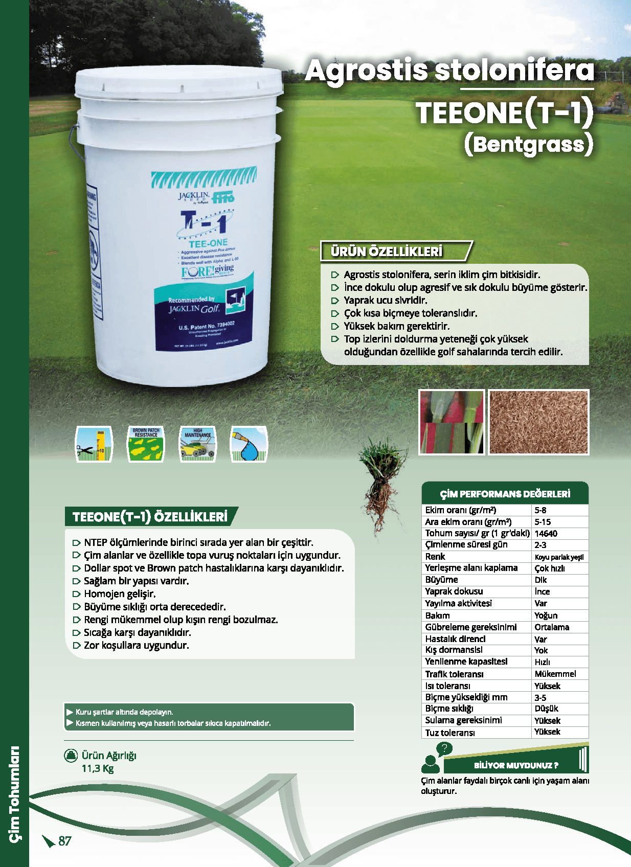 Fito Jacklin Tee-One (T-1) Agrostis Stolonifera – Profesyonel Golf ve Spor Alanı Çim Tohumu (11.3 Kg)