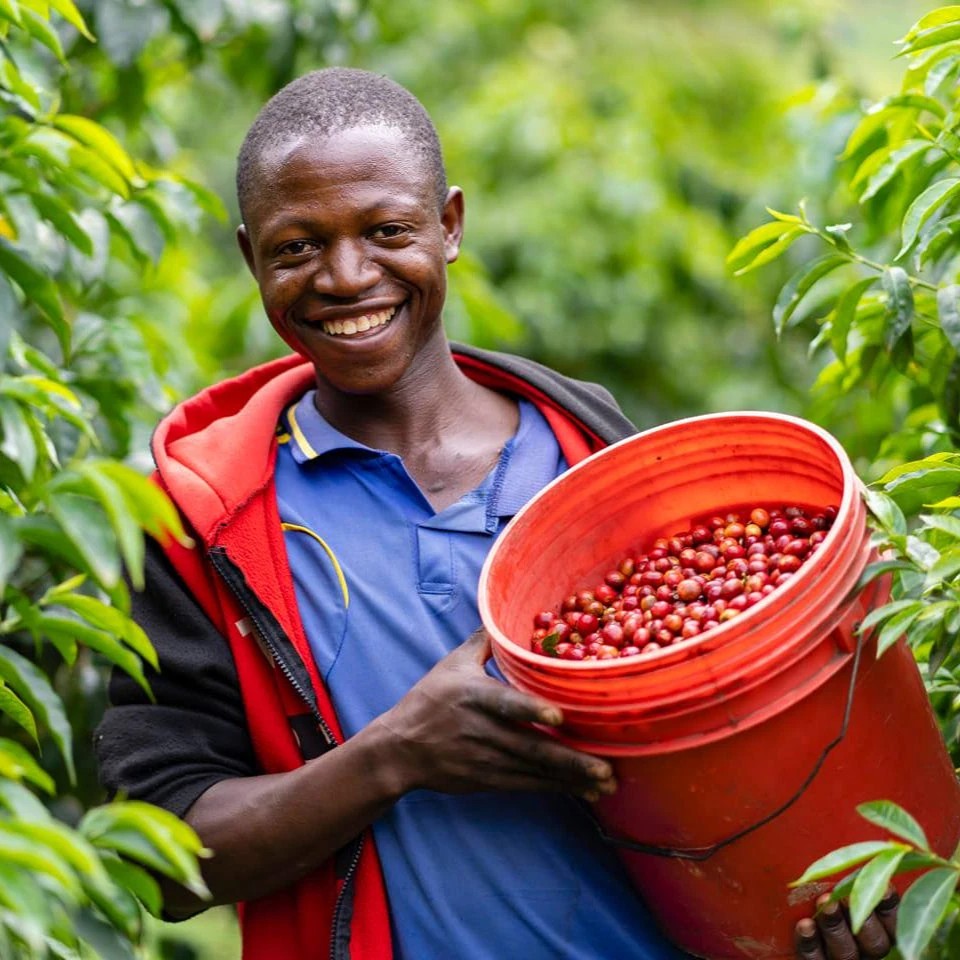 Kenya Nyeri