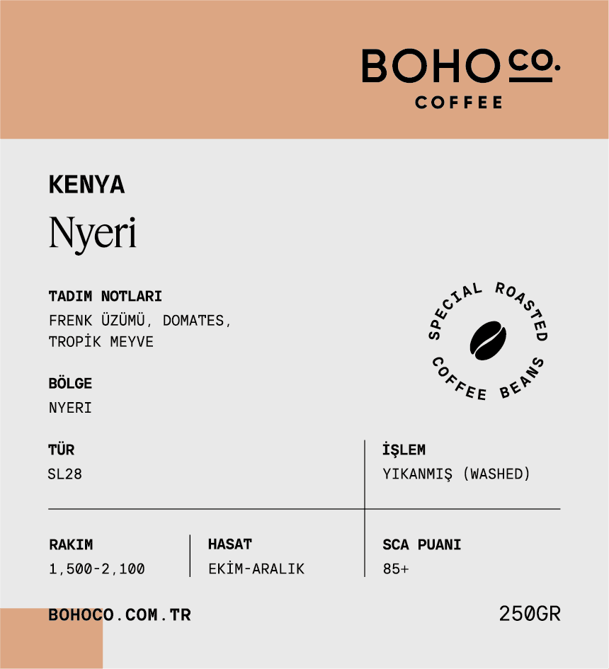Kenya Nyeri