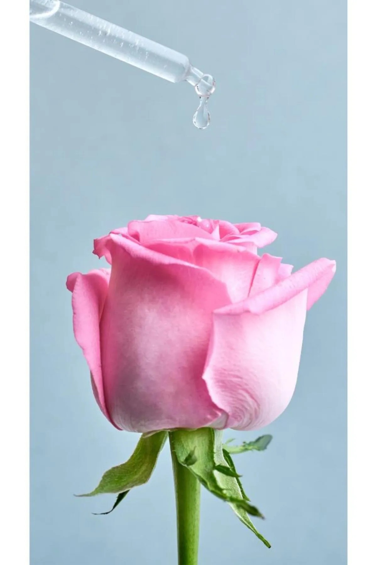 NIVEA AQUA ROSE NEMLENDİRİCİ TONİK
