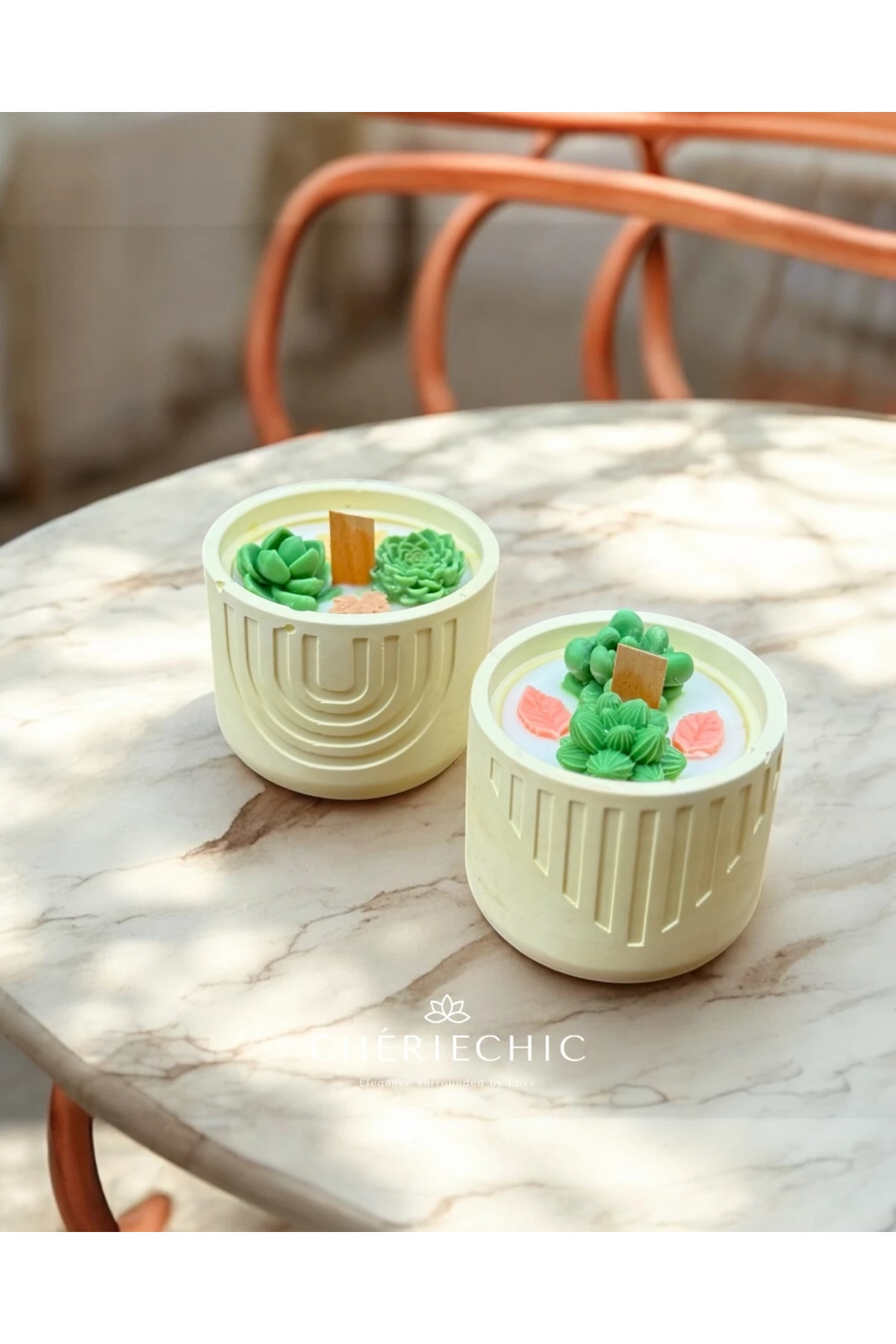 Bohem Sukulent Saksı Konsept Mum | Dekoratif Soya Wax Mum