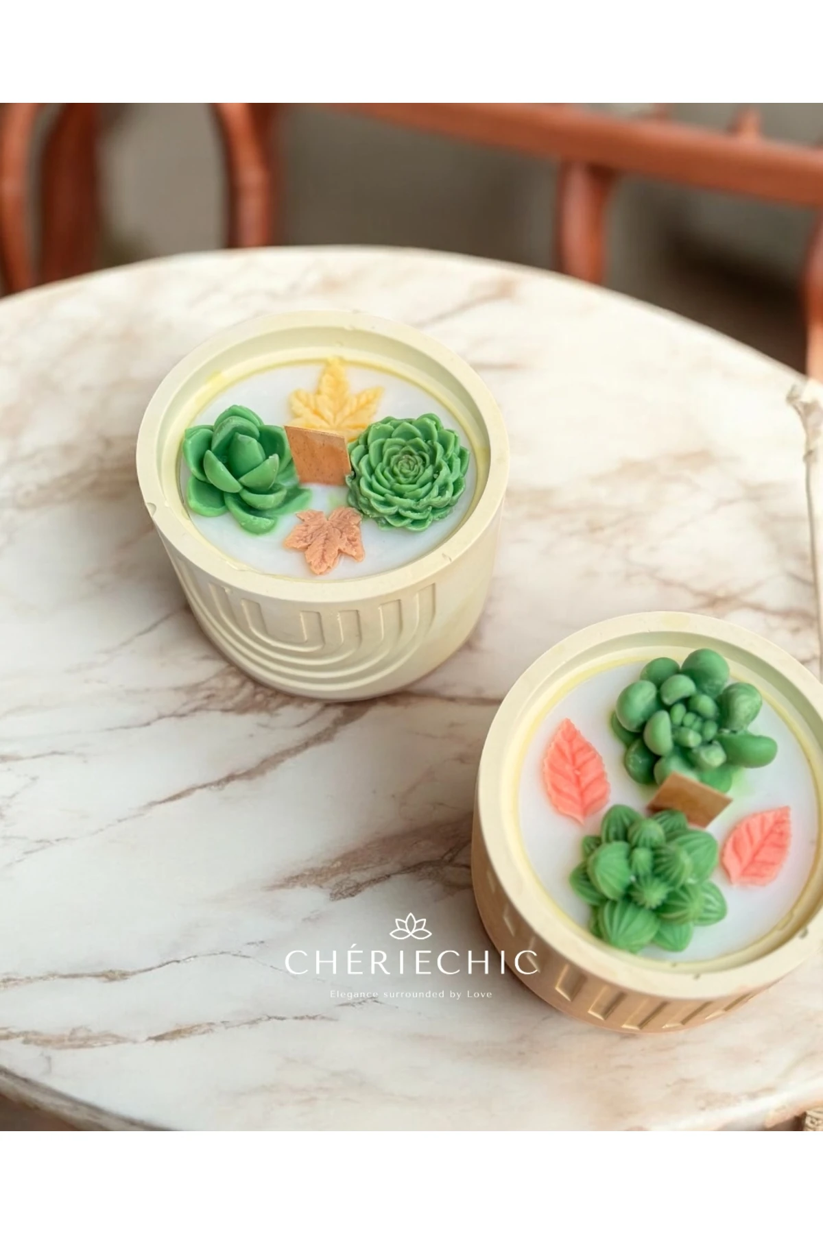 Bohem Sukulent Saksı Konsept Mum | Dekoratif Soya Wax Mum