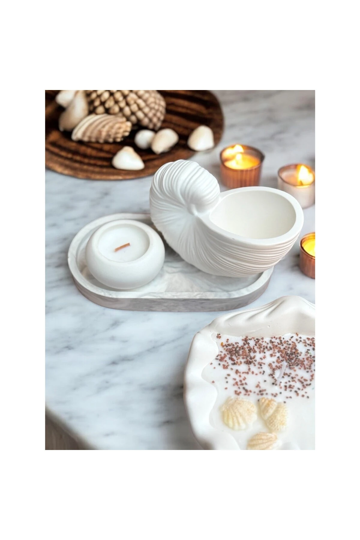 İstiridye Deniz Kabuğu Dekor Obje