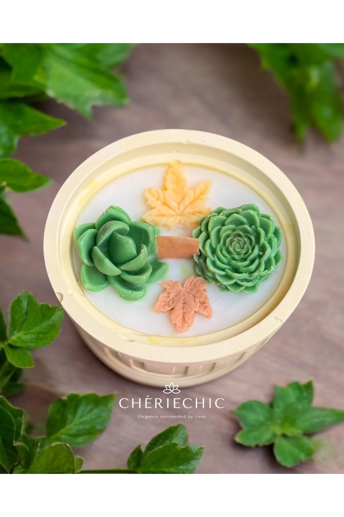 Bohem Sukulent Saksı Konsept Mum | Dekoratif Soya Wax Mum