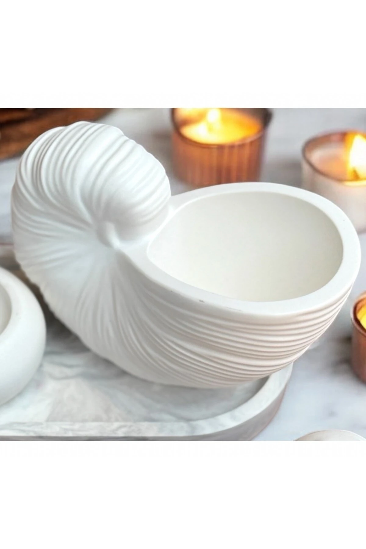 İstiridye Deniz Kabuğu Dekor Obje