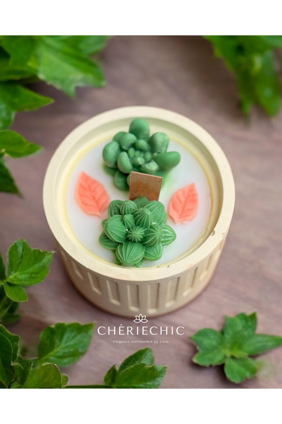 Bohem Sukulent Saksı Konsept Mum | Dekoratif Soya Wax Mum