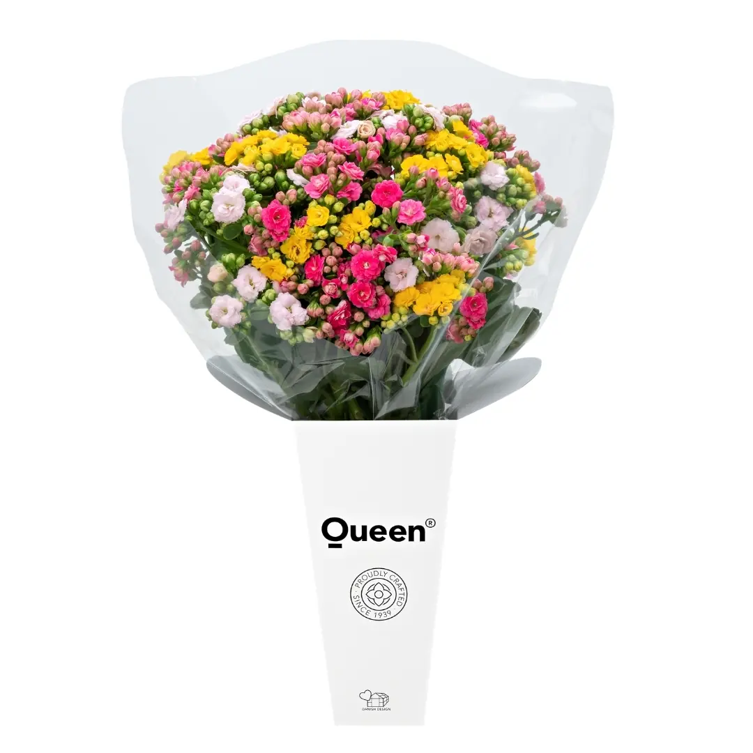 フラワー・リース Queen Queen® Türkiye ile Çiçek Şöleni: Kalanchoe Çiçekleri, Hediye Buketler!