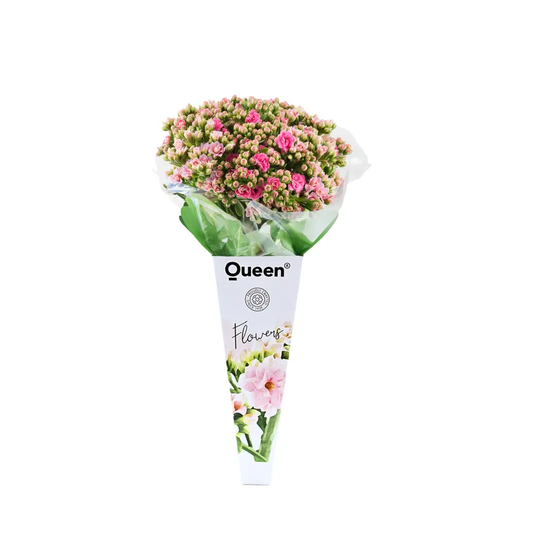 フラワー・リース Queen Queen® Türkiye ile Çiçek Şöleni: Kalanchoe Çiçekleri, Hediye Buketler!
