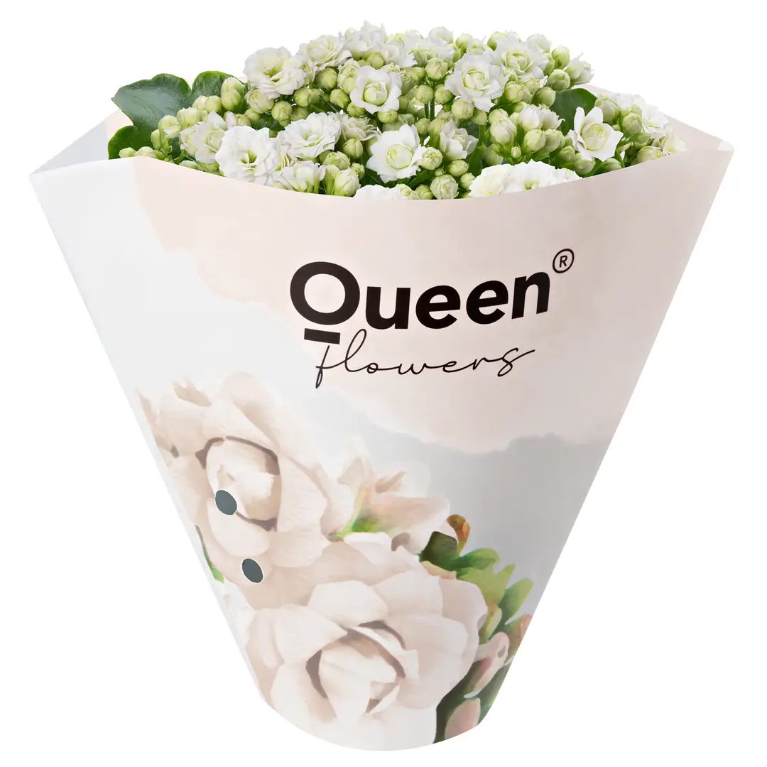 Queen® Türkiye ile Çiçek Şöleni: Kalanchoe Çiçekleri, Hediye Buketler!