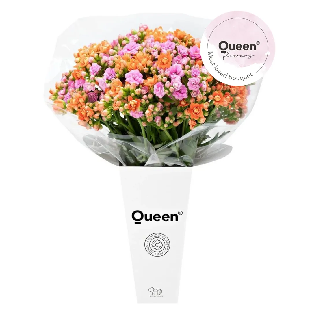 SUNSET KALANCHOE KESME BUKETİ