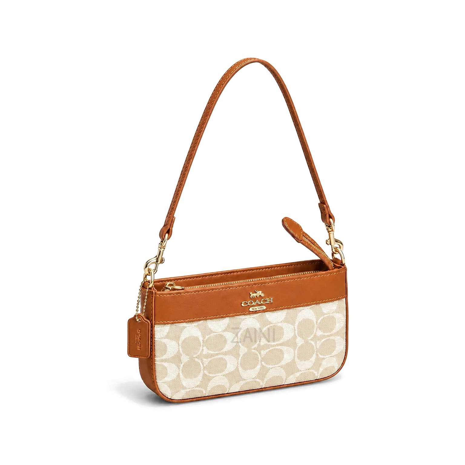Coach Lacey Crossbody Çanta – Seçenek 1 | Zaini Shoes