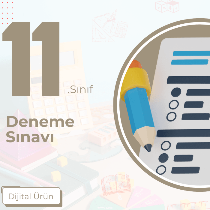 11. SINIF DENEMESİ