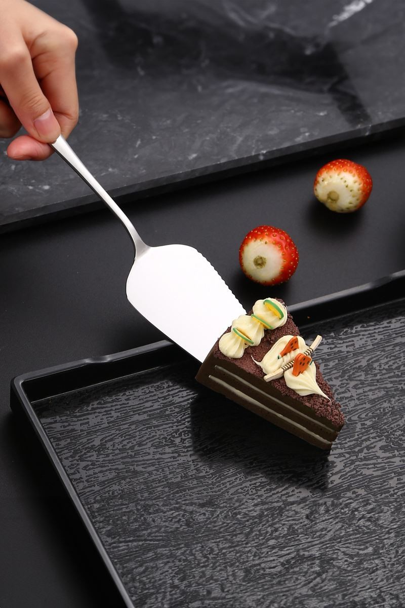 Çelik Silver Pasta Spatula Bıçak Seti Kek Sunum cin615by