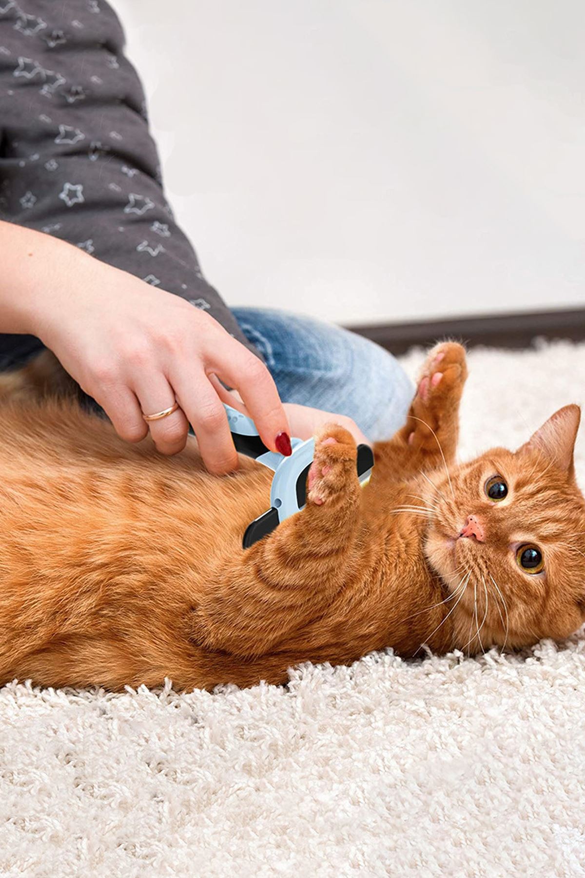 Büyük Boy Evcil Hayvan Fırçası Kedi Köpek Tarağı Tarak cin432