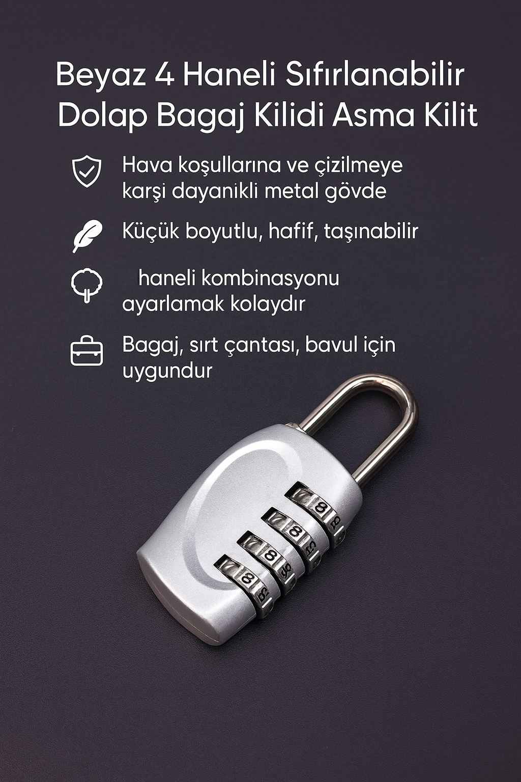 25 mm 4 Şifreli Sıfırlanabilir Dolap Bagaj Çanta Kilidi Asma Kilit cin538slv